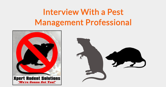 Interview with Xpert Rodent Solutions