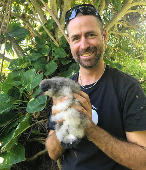 Interview with Andre Raine of Kauai Endangered Seabird Recovery Project