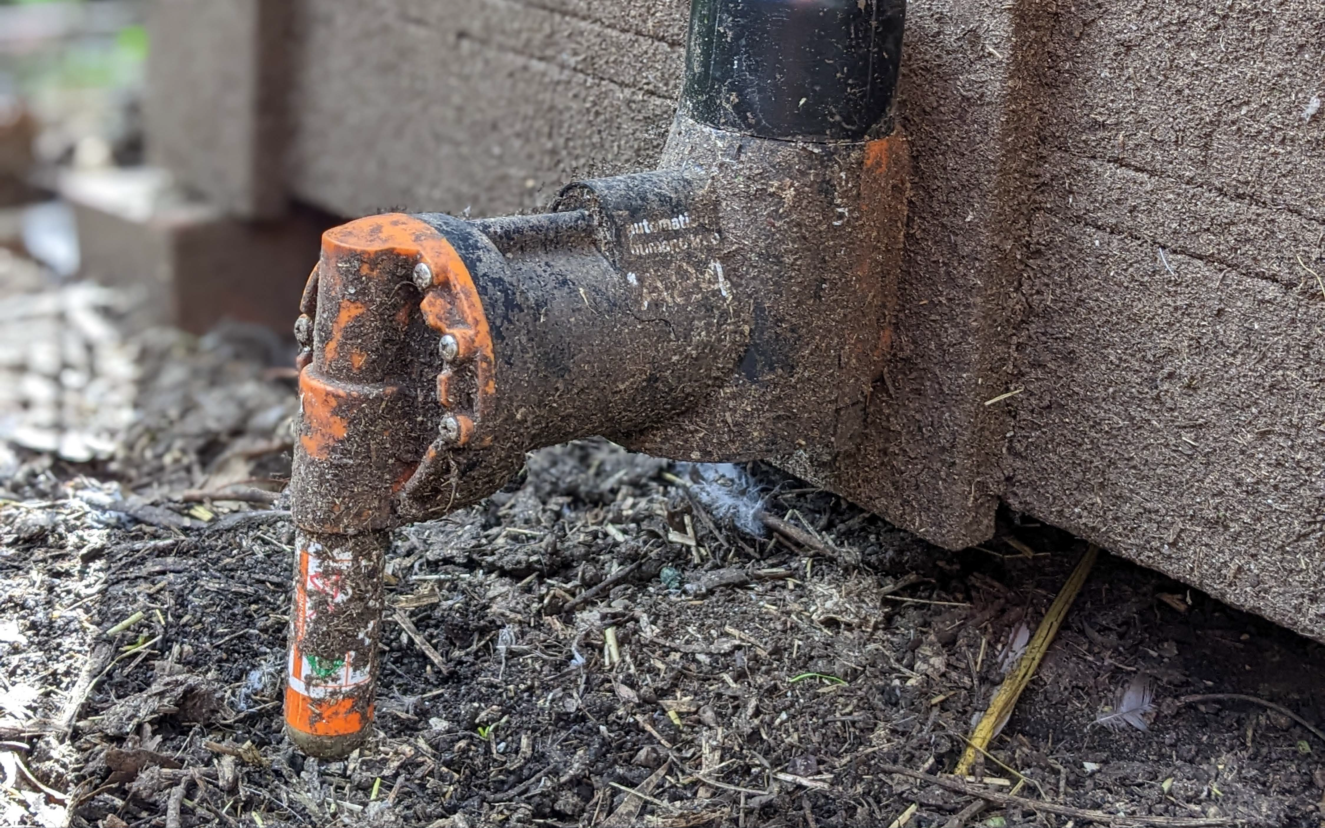 430+ Rats, Zero Lost Birds: A Belgrave Trapping Story