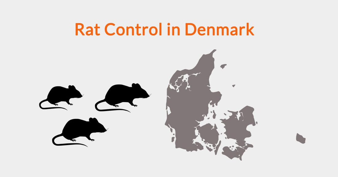 Rat Control in Denmark