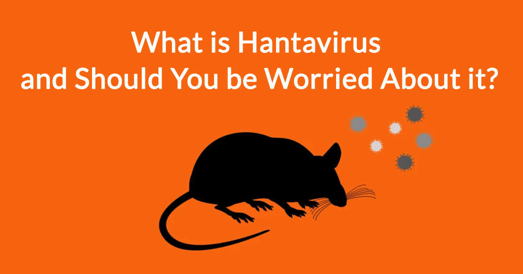 What Is Hantavirus & Should You Be Worried About It?
