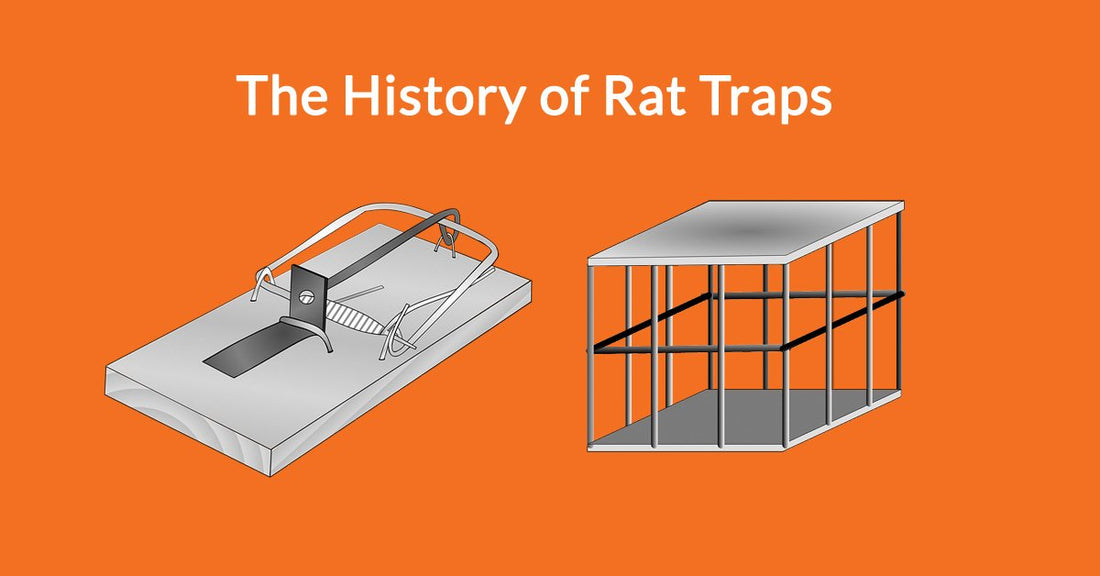 The History of Rat Traps