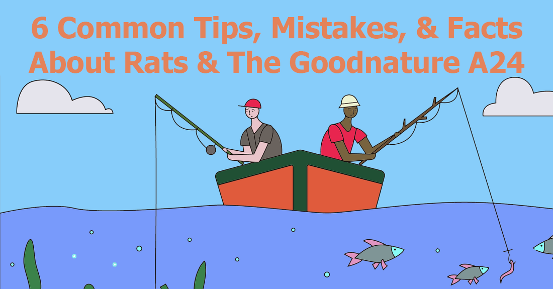 6 Common Tips, Mistakes, & Facts About Rats & The Goodnature A24