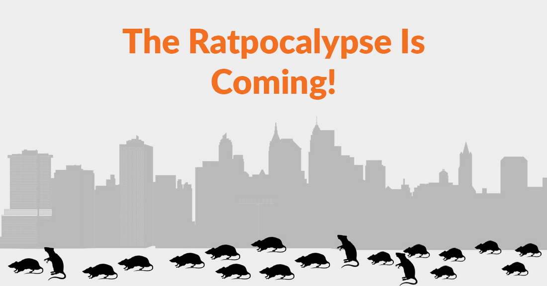 The Ratpocalypse is Here - Why Rat Populations Are Booming During The COVID-19 Pandemic