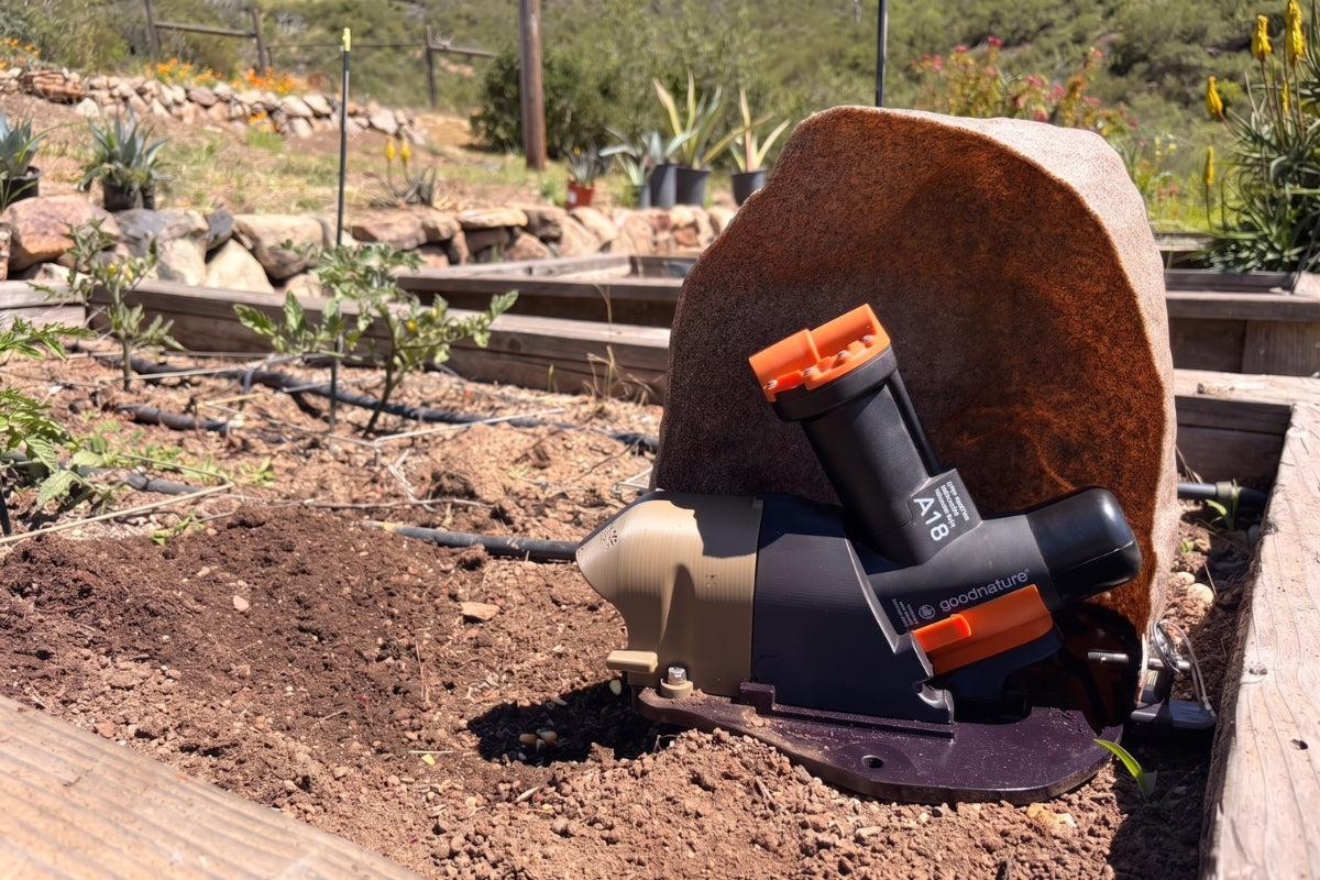 What DPR's Written Guidance Means for Ground Squirrel Work in California