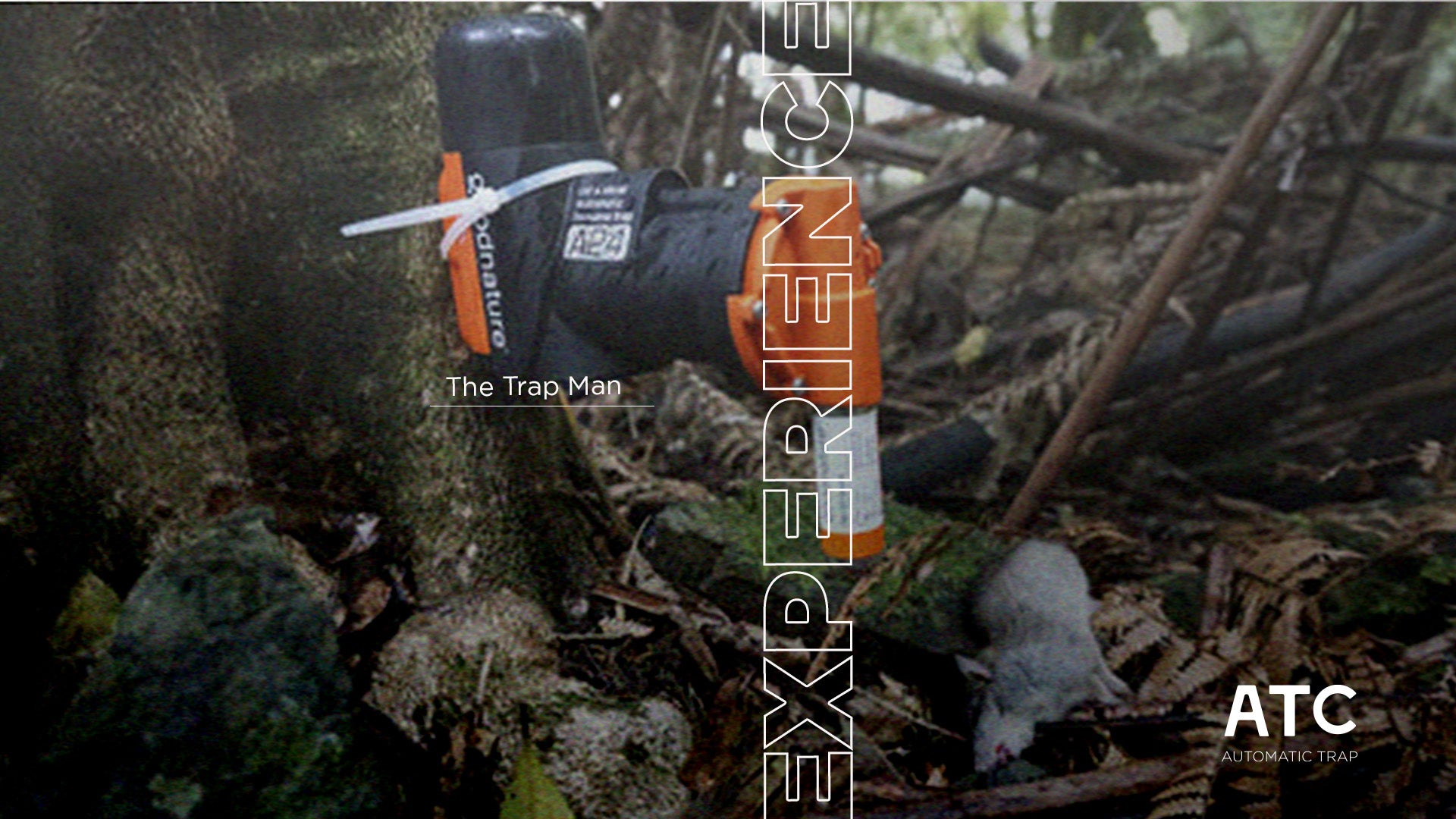 News Rats and Mice tagged