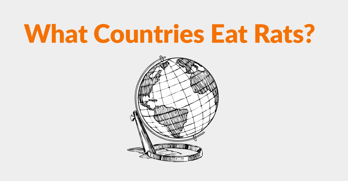 What Countries Eat Rats? A Guide To Eating Rats