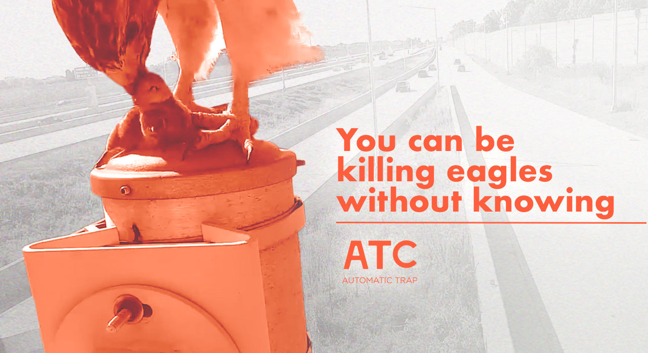 You can be killing eagles without knowing
