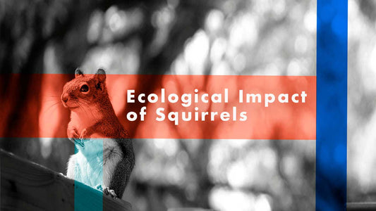 Ecological Impact of Squirrels