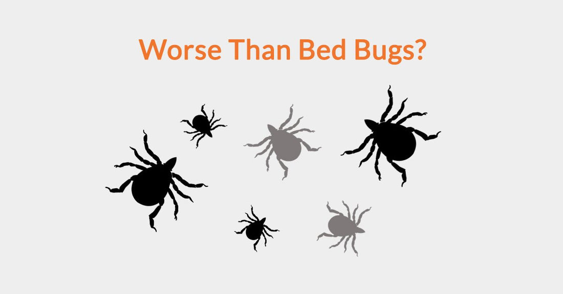 Worse Than Bed Bugs?