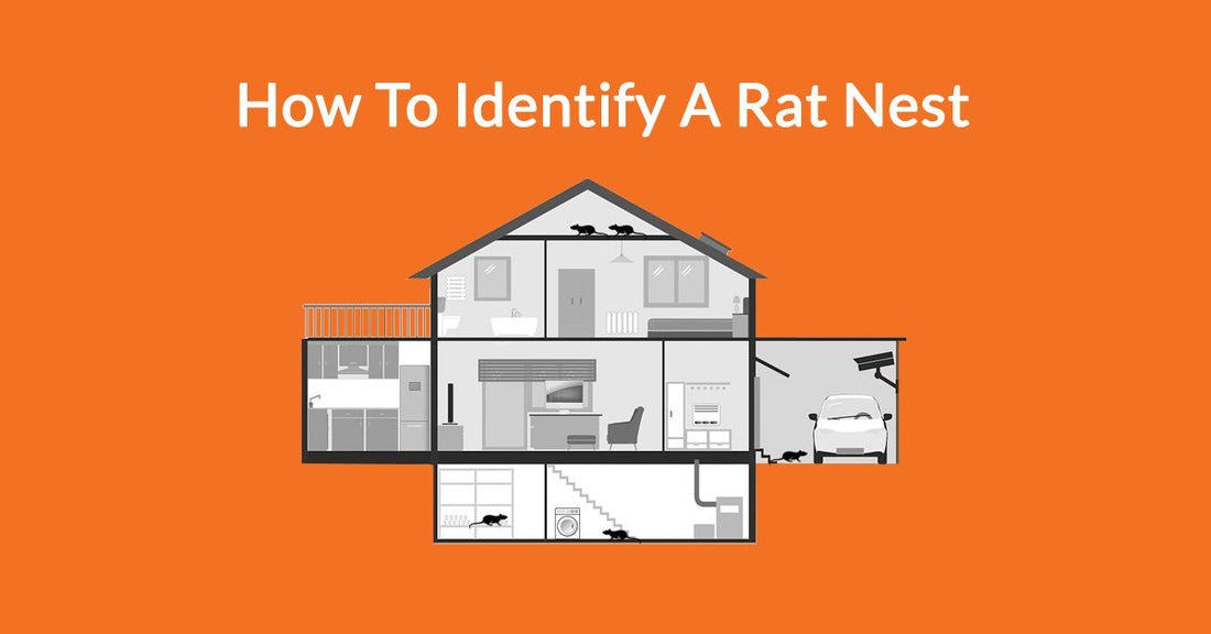 How To Identify A Rat Nest