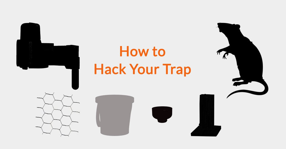 How to Hack Your Trap