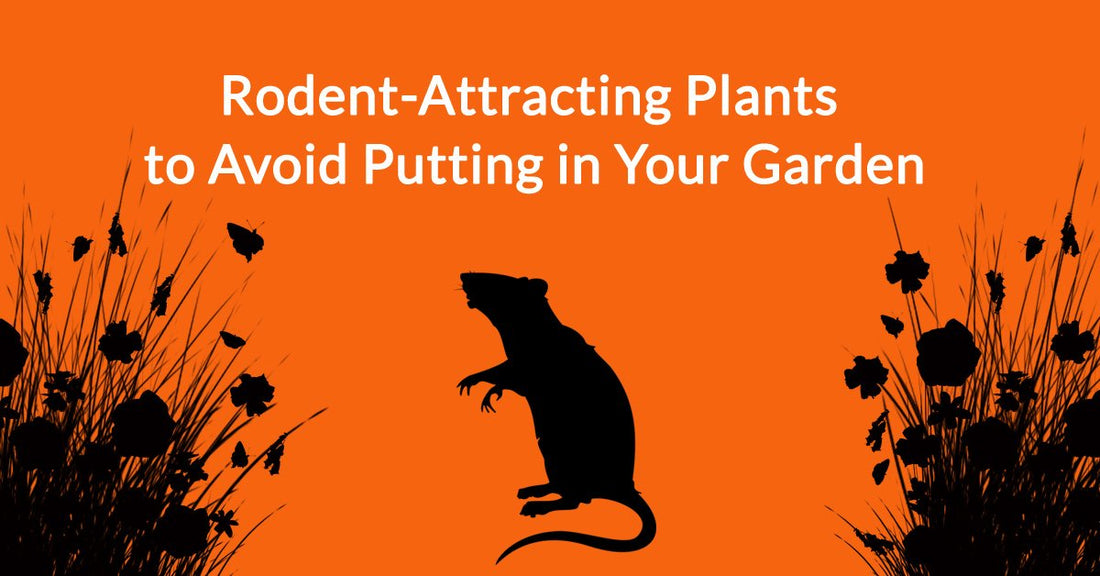 Rodent-Attracting Plants to Avoid Putting in Your Garden