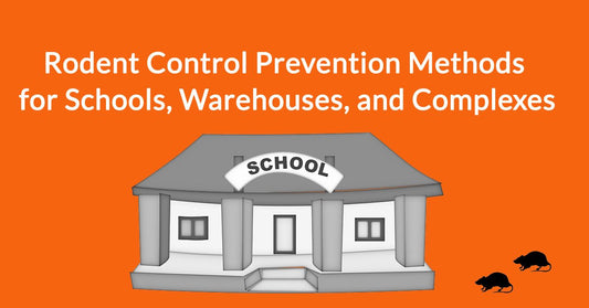 4 Rodent Control Prevention Methods for Schools, Warehouses, and Complexes