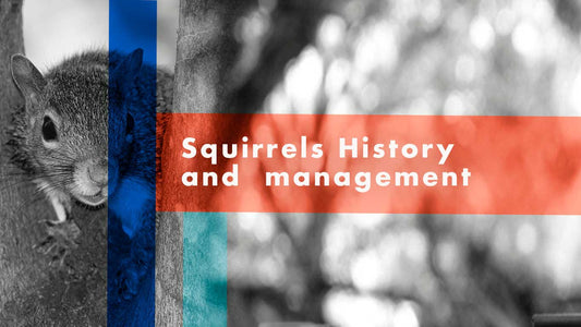Squirrels  History and Management