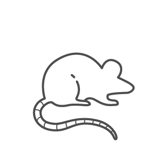 Blog Feature: Mice
