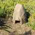 TerraTrap Ground Squirrel Kit