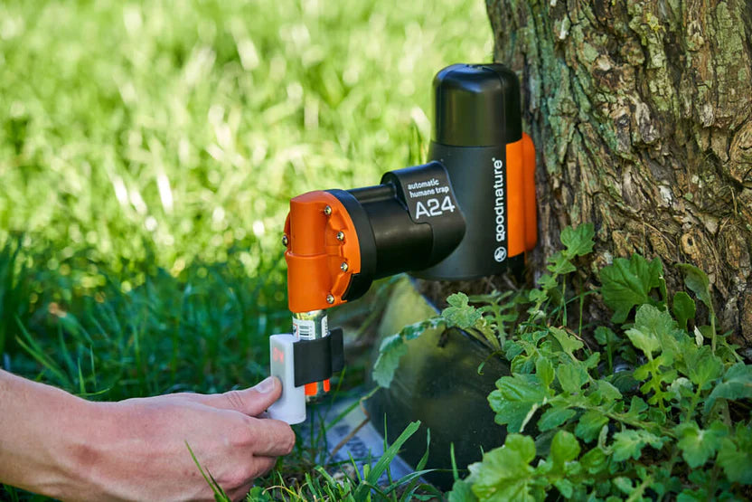 A24 Home Trapping Kit w/ Digital Strike Counter | Automatic Trap ...