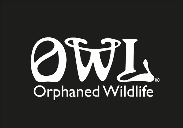 OWL Orphaned Wildlife Rehabilitation