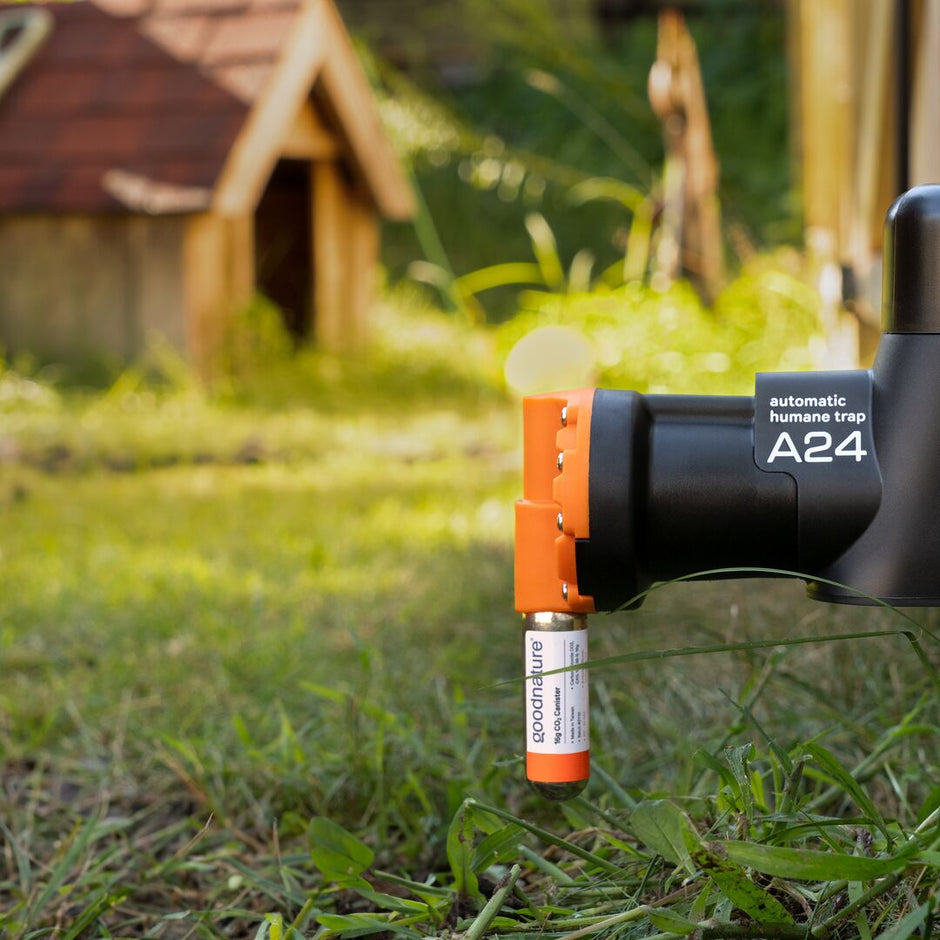 Automatic Trap Company | Goodnature A24 Rat & Mouse Trap Distributor