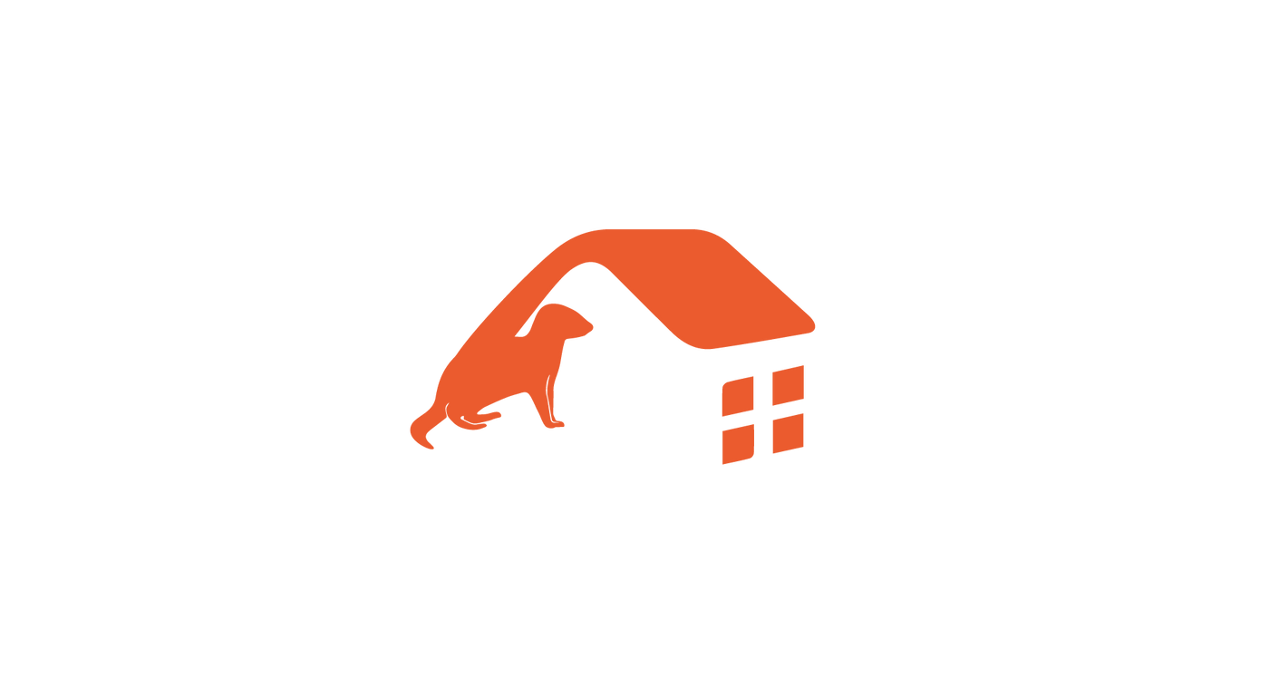 Mongoose Trapping tips – Automatic Trap Company