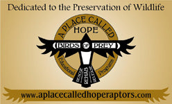 Circular emblem with a black cross and outstretched wings, text reading hope birds of prey wildlife preservation