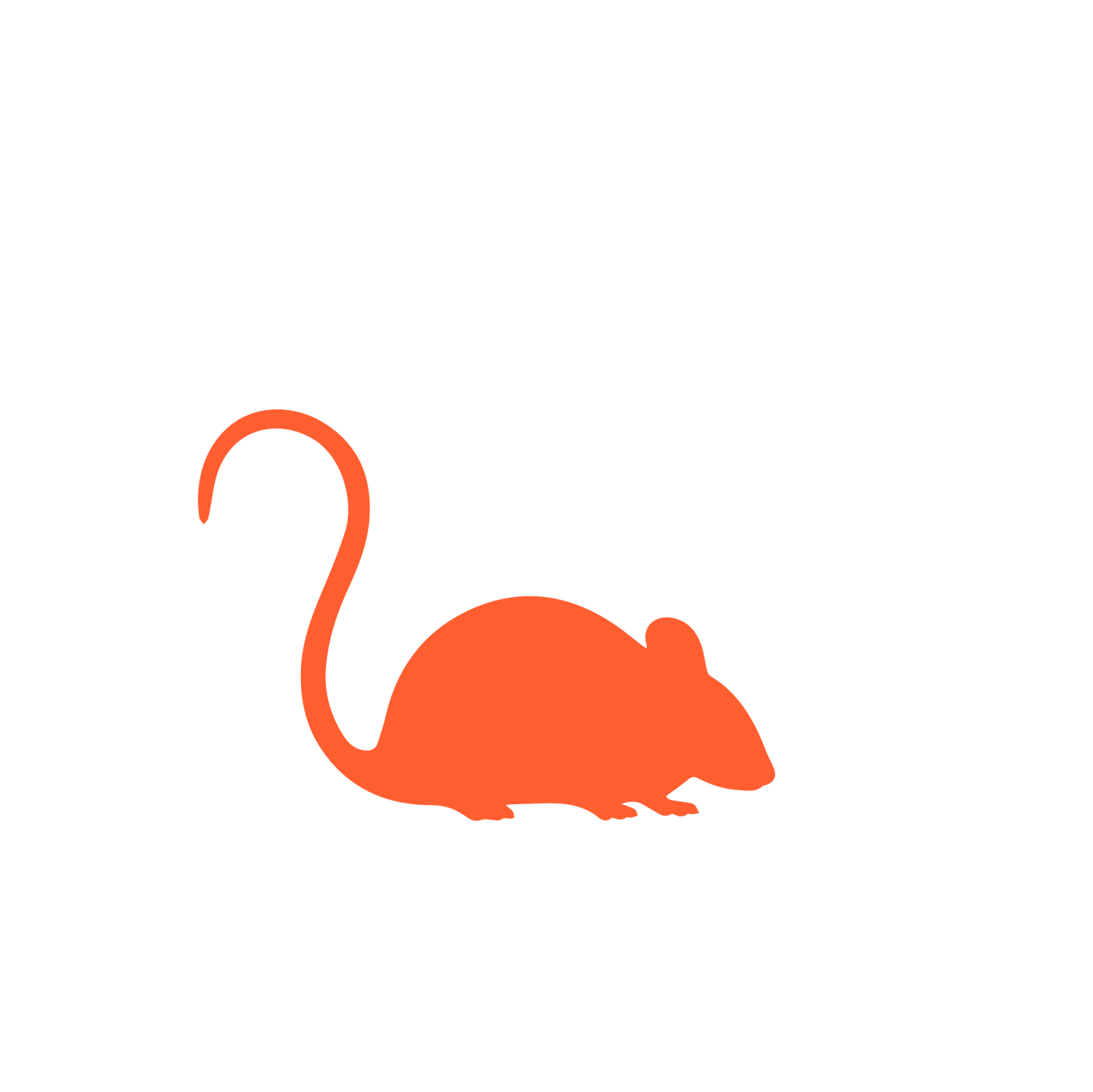 mouse rat trap