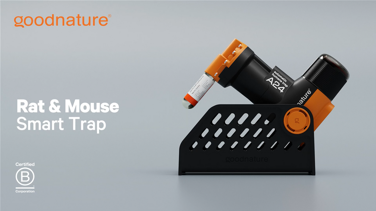 Goodnature A24 Smart Trap Kit | Automatic Trap Company