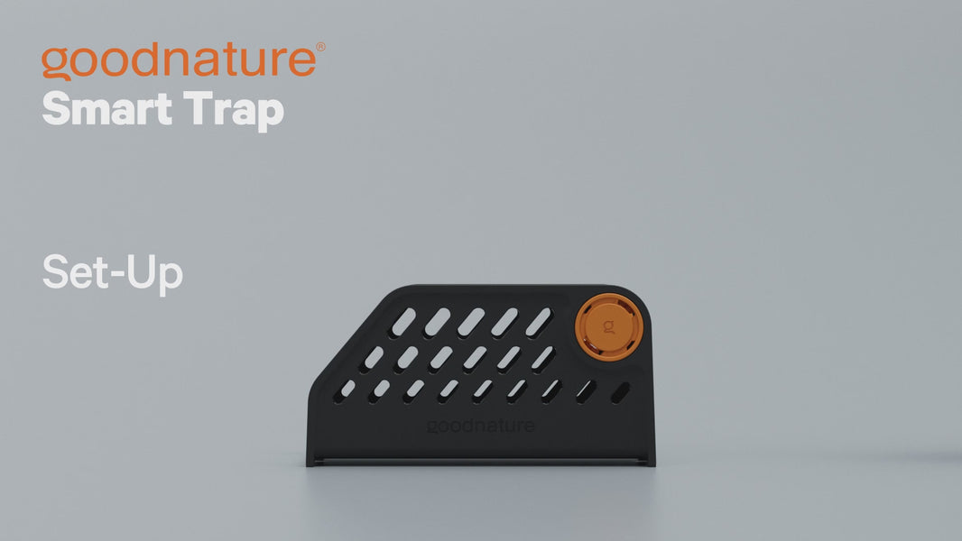Goodnature A24 Smart Trap Kit | Automatic Trap Company