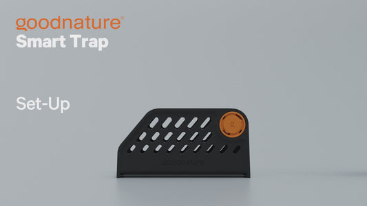 Goodnature A24 Smart Trap Kit | Automatic Trap Company